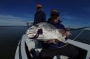fisheye-red0001.jpg