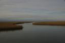 la-marsh0001.jpg