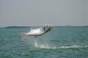 tarpon0004.jpg