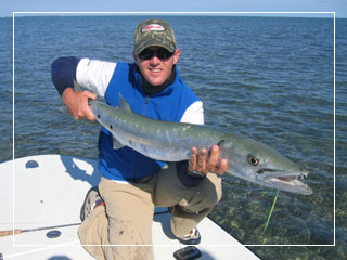 barracuda are a great target with light tackle or fly rod