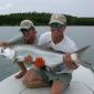 Juvenile Tarpon