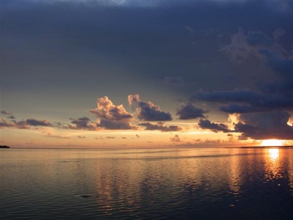 Bonefish Sunset