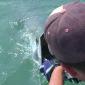 Tarpon Release 