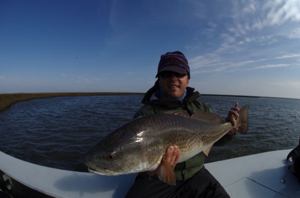 Decent Fish0001