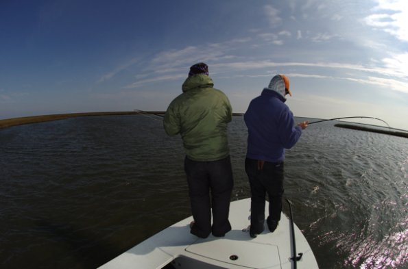Doubled Up0001