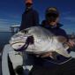 Louisiana 2008
