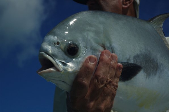 Fall Permit0001