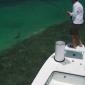 Permit Fight0001
