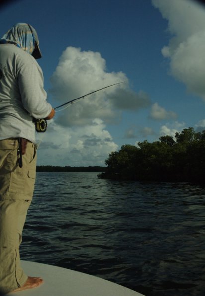 Tarpon Hunting0001