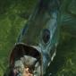 Tarpon0001