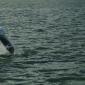 Alexs Jumper0002
