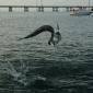 Bahia Honda Jumper0001