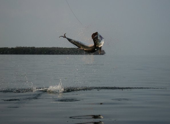 KensJumper0005