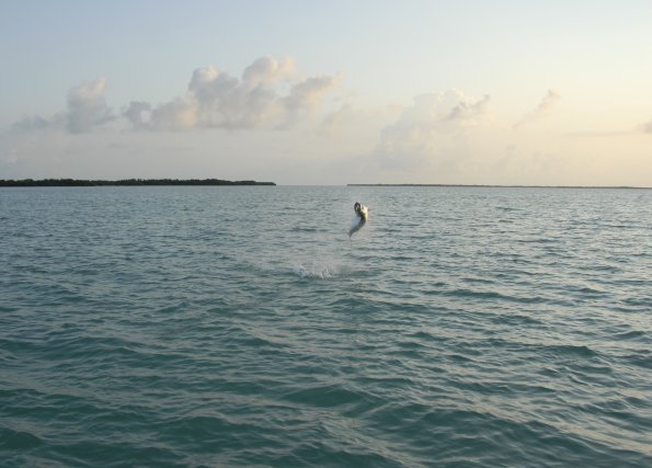 _DSC0069-2
