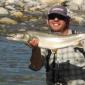  BC Bull Trout0001