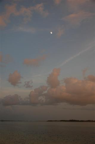 Bonefish Moon 