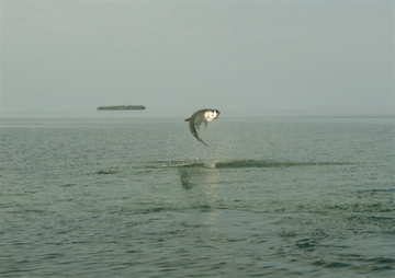 _DSC0050