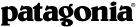 Patagonia Outerwear